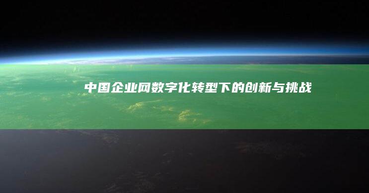 中国企业网：数字化转型下的创新与挑战